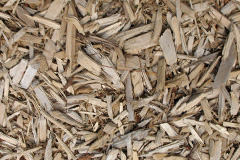 biomass boilers Pishill